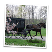McKenzie House
Attractions